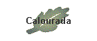 Calourada