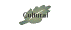 Cultural