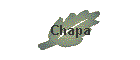 Chapa